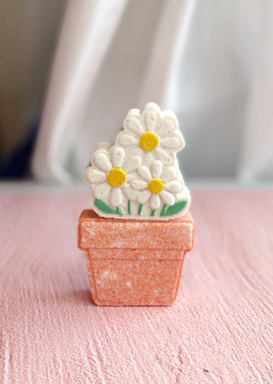 Pot of Daisies Bath Bomb